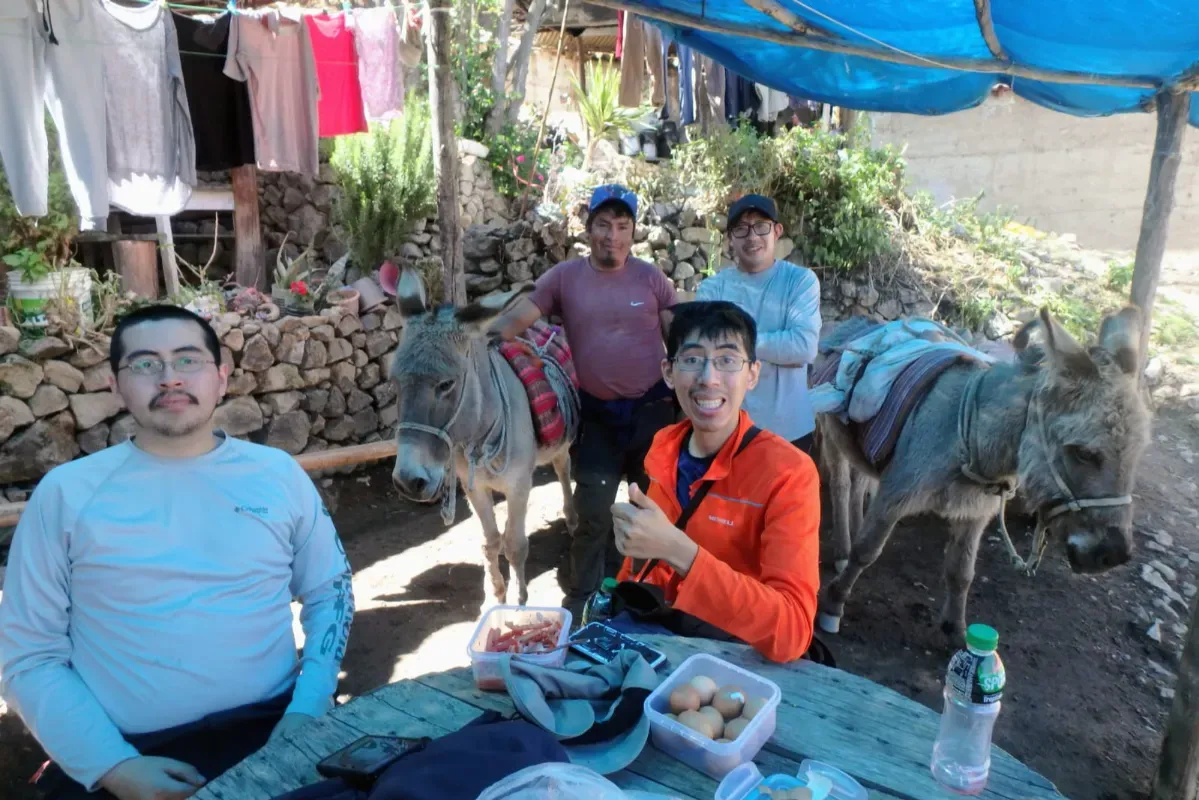 Trekkers sharing a meal at camp with the pack donkeys nearby